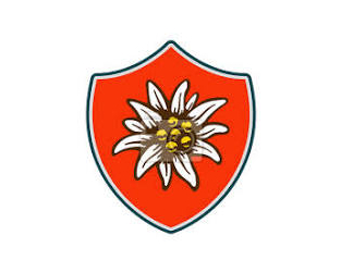 1750839639_small.jpg